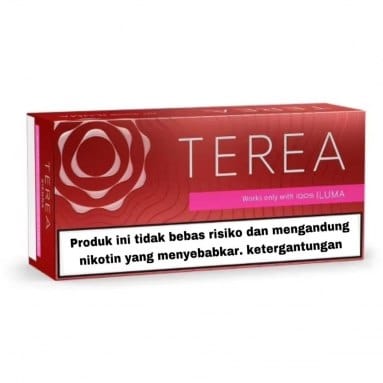 Heets Terea Sienna Indonesian version in Dubai - Vapecircle